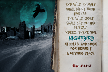 Nightbird font